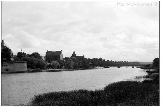 dsc_0020_v01